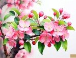 海棠花什么时候长叶子