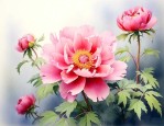 关于花的古诗词有哪些