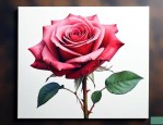 微信玫瑰花是什么意思