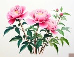 花道--插花技艺养成