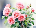 小月季花怎么养比较好