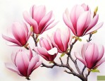 不同颜色玉兰花的花语