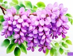 像洋槐花一样的紫色花