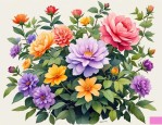 2025年什么花在5月开放