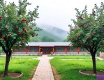 雾灵山山楂树农家大院
