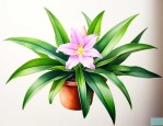 吊兰的花是什么样子的