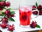 洛神花和什么搭配好喝