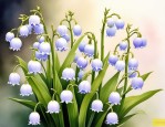 2025年铃兰花花语和传说