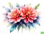 花对版是什么意思