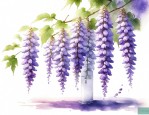 紫藤花可以水培吗