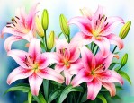 百合花可以用自来水吗