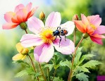 什么花靠昆虫传播种子