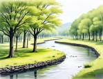 2025年水杉主要生活地区