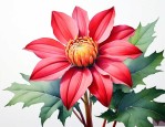 12月12日的生辰花