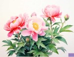 花中的君子指的是什么