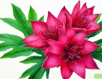 洛神花可以提高免疫力吗