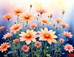 满天星是什么样子的花