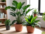2025年绿植盆栽租赁报价