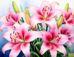 百合花代表意思是什么