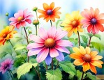 有哪些花是在夏天开放的