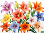 不同颜色百合花的花语和寓意