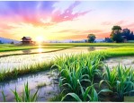 魔芋种在水田里可以吗