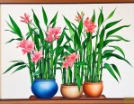 富贵竹养在什么地方好