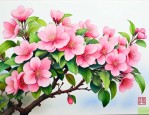 海棠树的作文300字