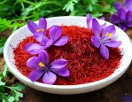 西红花种子多少钱一斤