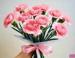 一束康乃馨6朵多少钱