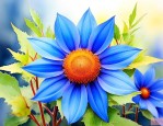 蓝色的太阳花长什么样