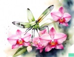 兰花螳螂的饲养