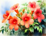 凌霄花在什么季节开放