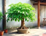 院子里种发财树风水好