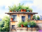楼顶适合栽什么植物好