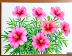 太阳花是不是四季开花