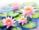 睡莲属于什么植物类型