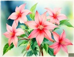 开花像五角星是什么花