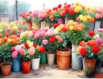 北京顺义卖花的批发地方