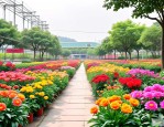 2025年广东花卉批发基地