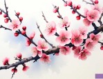 梅花的简介与象征意义