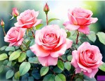 月季花为什么不能进家