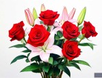 9朵红玫瑰2朵百合花