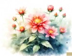 北方夏天开的花有哪些