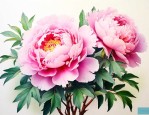 牡丹花一般什么时候开