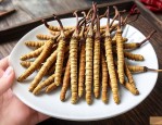 30根虫草大概多少钱