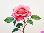 月季花几点开花拟人句