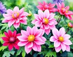耐寒性宿根花卉有哪些