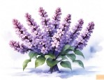 丁香花的越冬
