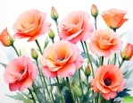 洋桔梗是什么季节的花